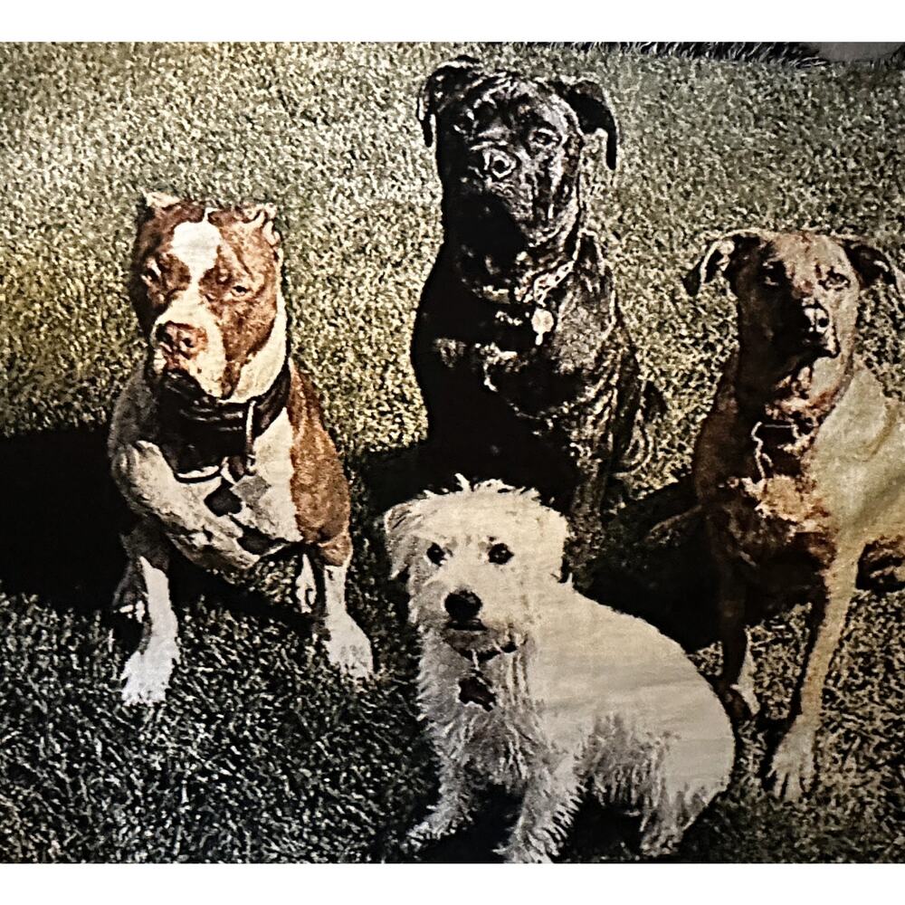 Tapestry Dog Throw Blanket Fringed Trim Woven Novelty 4 Dogs Couch 72x52 - Picture 2 of 3